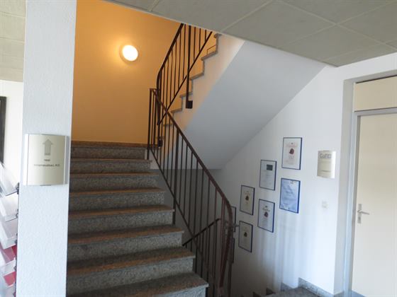 Gepflegtes Treppenhaus mit Steintreppe zum 1. Obergeschoss